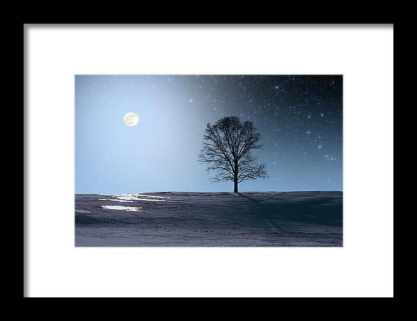 Science Framed Print featuring the photograph Single Tree in Moonlight by Larry Landolfi
