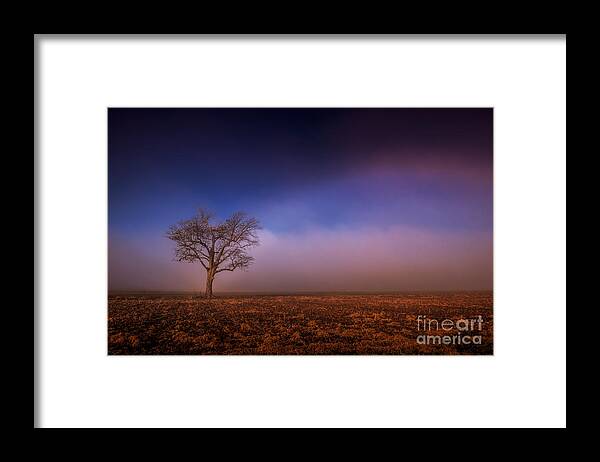 Farm Framed Print featuring the photograph Single Tree in the Mississippi Delta by T Lowry Wilson