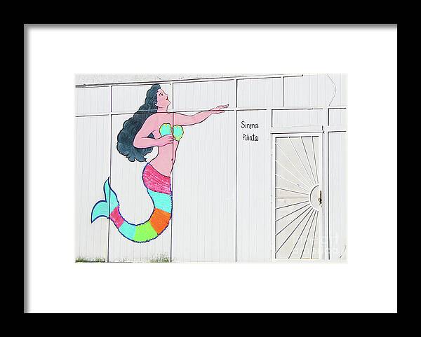 Mermaid Framed Print featuring the photograph SIRENAs DOOR by Joe Pratt