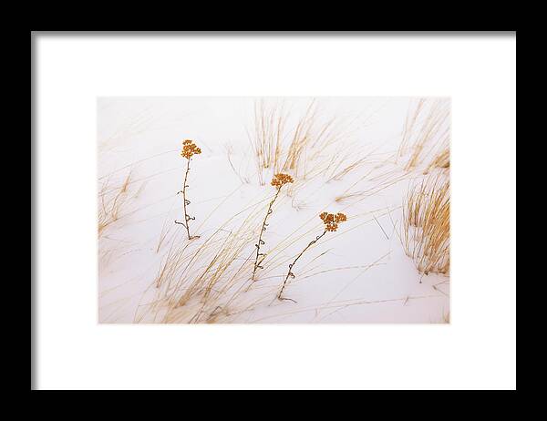 Winter Framed Print featuring the photograph Sisters by Allan Van Gasbeck