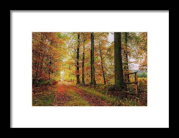 Europe Framed Print featuring the photograph Site 6 by Dmytro Korol