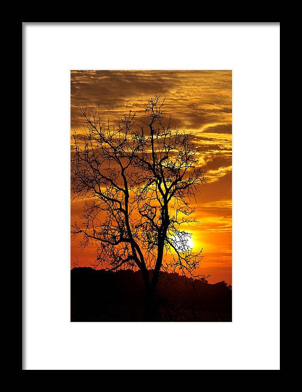 Sunsets Framed Print featuring the photograph Sitting In The Sunlight Glow by Jan Amiss Photography
