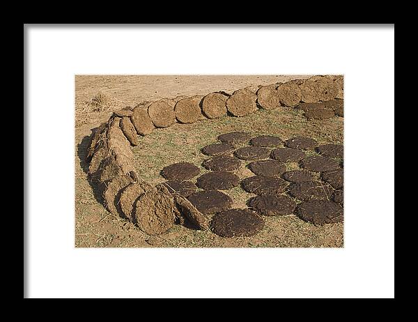 Cow-dung Framed Print featuring the photograph SKC 5527 Cowdung Cakes by Sunil Kapadia