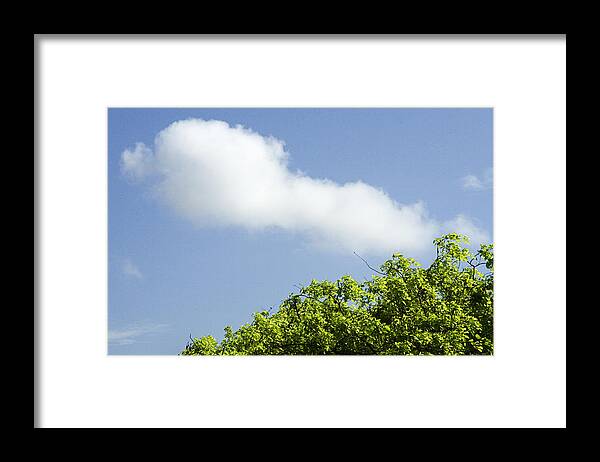 Abstract Framed Print featuring the photograph SKC 7194 Nature's Freedom by Sunil Kapadia