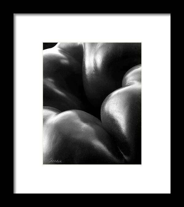 Black & White Framed Print featuring the photograph Skin by Frederic A Reinecke