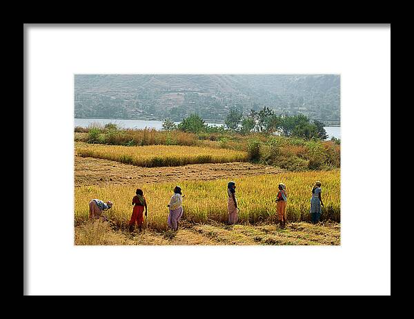Day Framed Print featuring the photograph SKN 2618 Day's Job Color by Sunil Kapadia