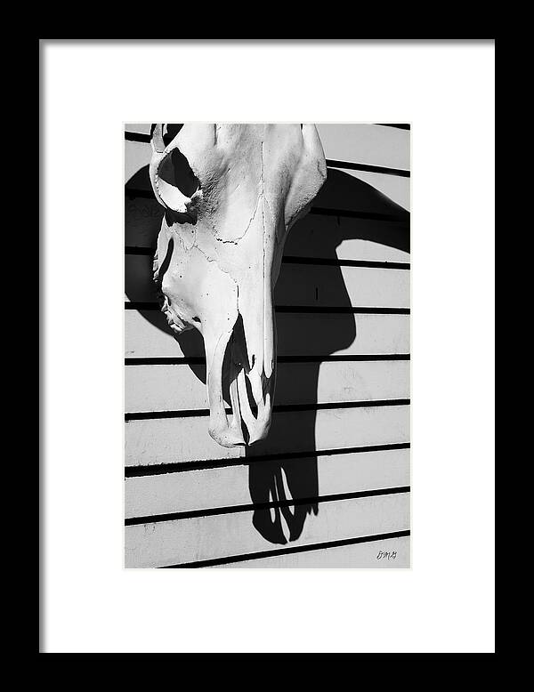 Skull Framed Print featuring the photograph Skull and Shadow by David Gordon