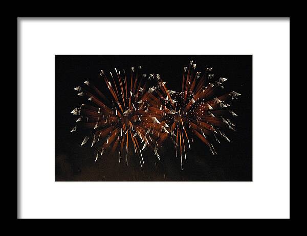 Fireworks Framed Print featuring the photograph Sky Flowers lll by Dan Fulk 