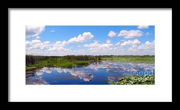 Marsh Framed Print featuring the photograph Skyscape Reflections Blue Cypress Marsh Conservation Area Florida C3 by Ricardos Creations