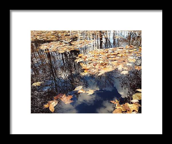 Nature Framed Print featuring the photograph Skyside by Marley Hornewer