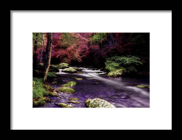Tennessee Stream Framed Print featuring the photograph Sleep Walking by Mike Eingle