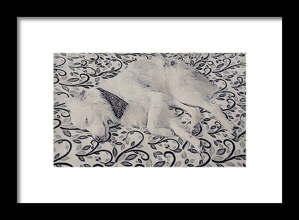 Skye Framed Print featuring the photograph Sleeping Beauty by Jan Davies