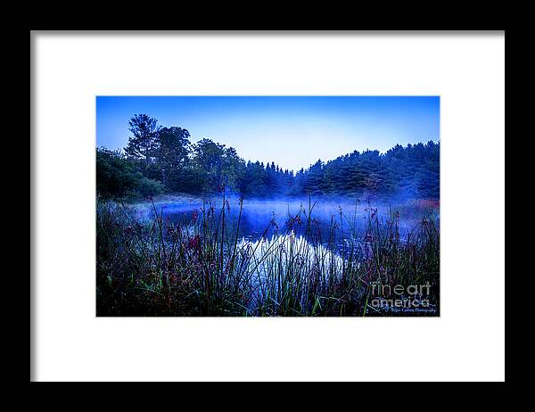 Marsh Framed Print featuring the photograph Sleeping Beauty by Roger Carlsen