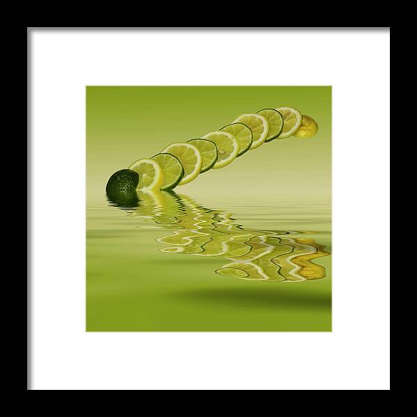 Fresh Fruit Framed Print featuring the photograph Slices Lemon Lime Citrus Fruit by David French