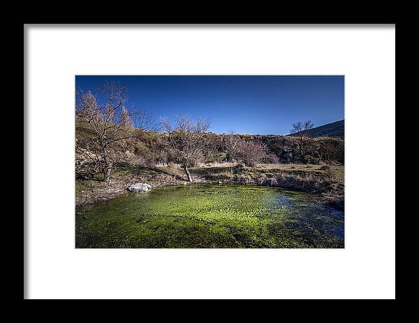 Swamp Framed Print featuring the photograph Small swamp by Hernan Bua