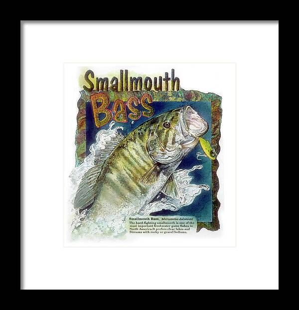 Fishing Framed Print featuring the drawing Smallmouth Bass by John Dyess