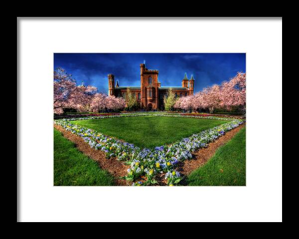 Cherry Framed Print featuring the photograph Spring Blooms in the Smithsonian Castle Garden by Shelley Neff