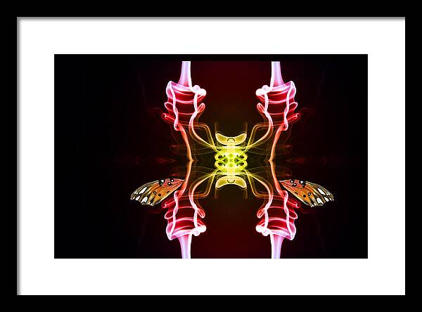 Smoke Framed Print featuring the photograph Smoke Buttterfly by Bill Linhares