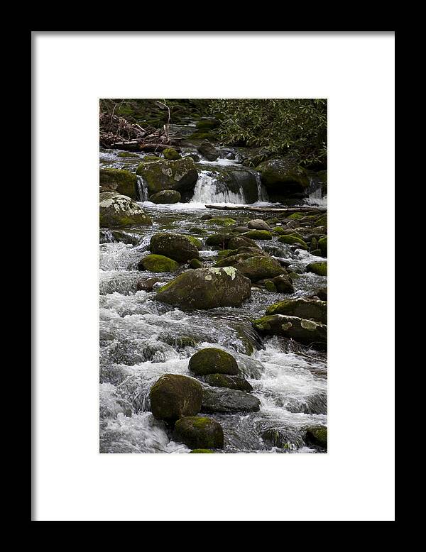 Thousand Drips Framed Print featuring the photograph Smokies in the Spring by Peter Skiba