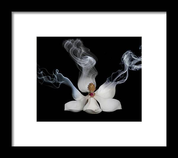 Flower Framed Print featuring the photograph Smokin' Magnolia by Lori Hutchison