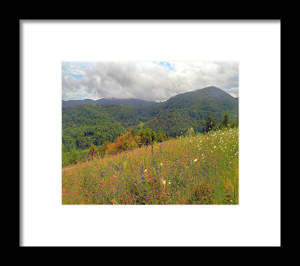Landscape Framed Print featuring the photograph Smoky Mountains by Raymond Earley