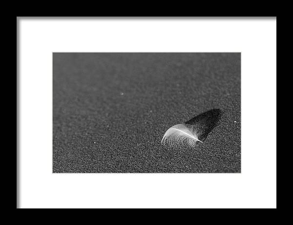 Feather Framed Print featuring the photograph Smooth as a feather by Lora Lee Chapman