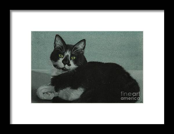 Colored Pencil Framed Print featuring the drawing Smudge by Jennifer Watson
