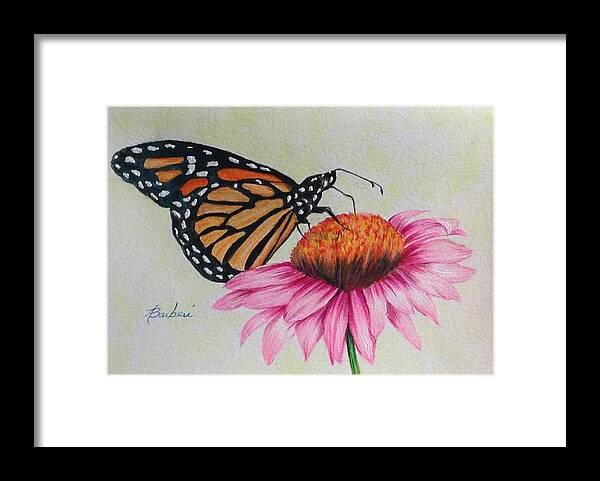 Monarch Butterfly Framed Print featuring the drawing Snacking by Anne Barberi