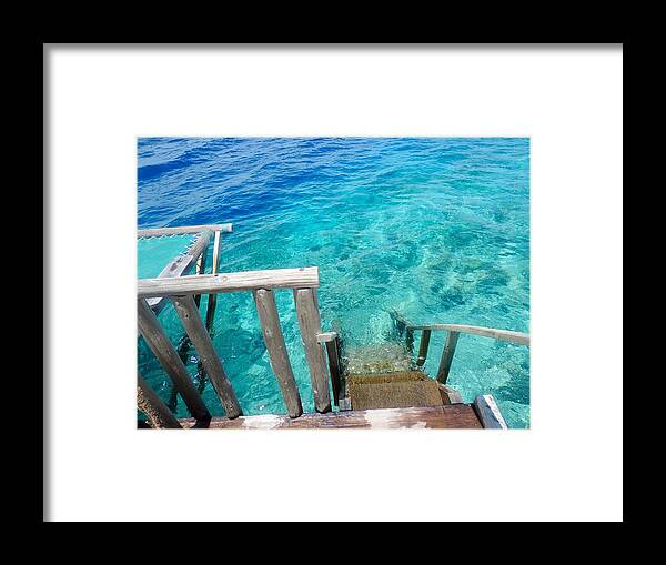 Snorkeling Framed Print featuring the photograph Snorkeling Reef by Tiffany Marchbanks