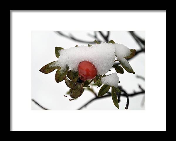 Snow Framed Print featuring the photograph Snow Blanket. by Terence Davis