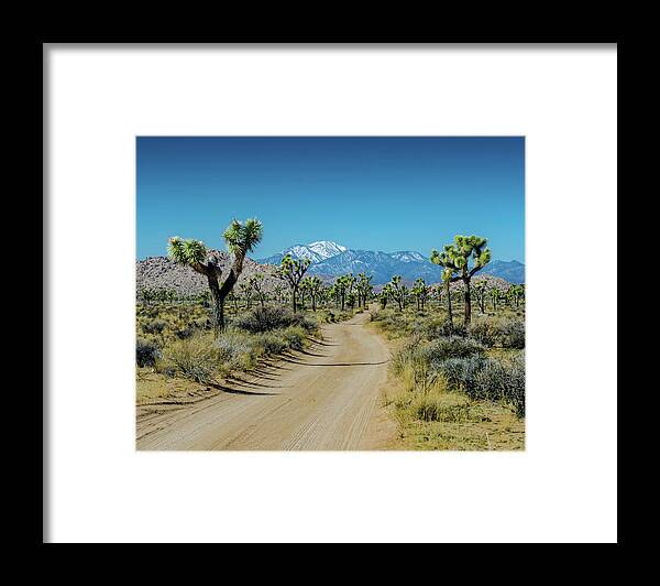 Adventure Framed Print featuring the photograph Snow Capped Mountian overlooks Joshua Trees Flanking Dirt Road by Kelly VanDellen
