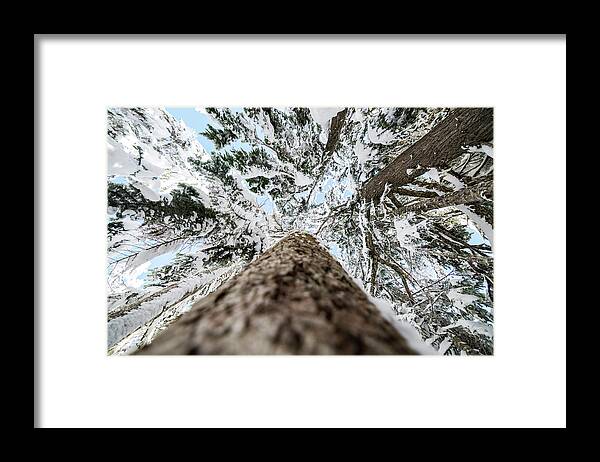 Tree Framed Print featuring the photograph Snow Covered Trees 4 by Pelo Blanco Photo