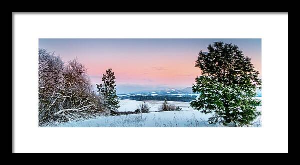 Pine Tree Framed Print featuring the photograph Snow Covered Valley by Lester Plank