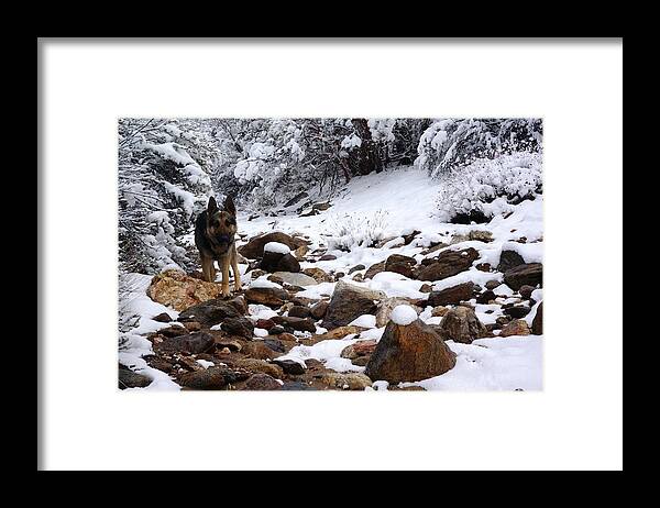 Snow Framed Print featuring the photograph Snow Cup by Julia Ivanovna Willhite