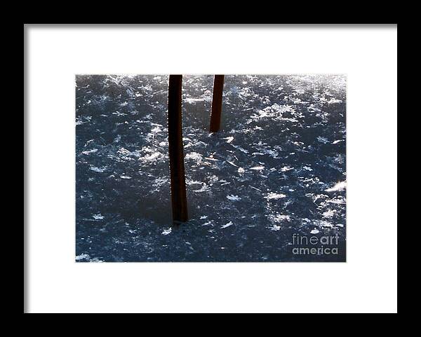 Snow Flakes Framed Print featuring the photograph Snow Flakes by Scott Heister