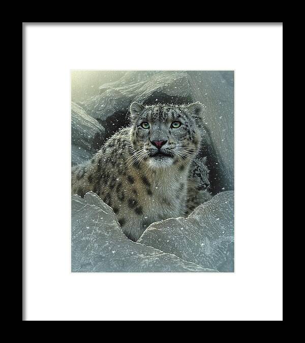 Snow Leopard Framed Print featuring the painting Snow Leopard - The Fortress by Collin Bogle