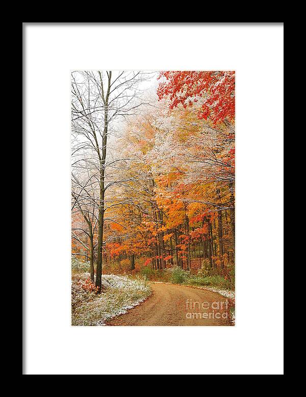Snow Framed Print featuring the photograph Snow in Autumn 2 by Terri Gostola