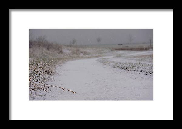 Snow Framed Print featuring the photograph Snow Path by Brooke Bowdren