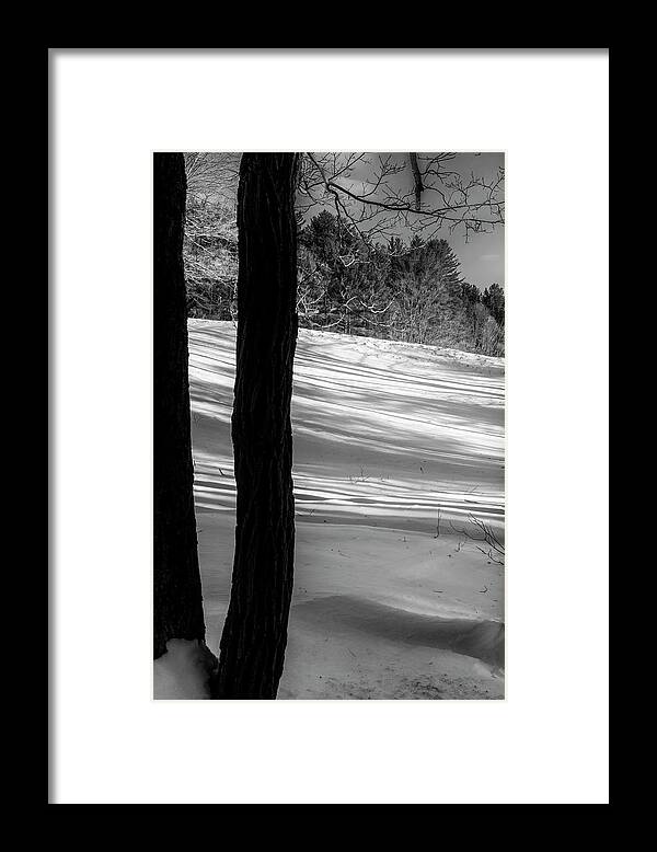 Vermont Winter Framed Print featuring the photograph Snow Shadows by Tom Singleton