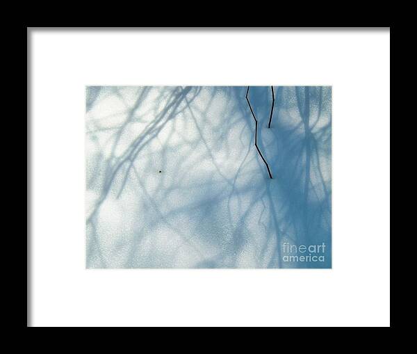 Snow Framed Print featuring the photograph Snow White by Robyn King