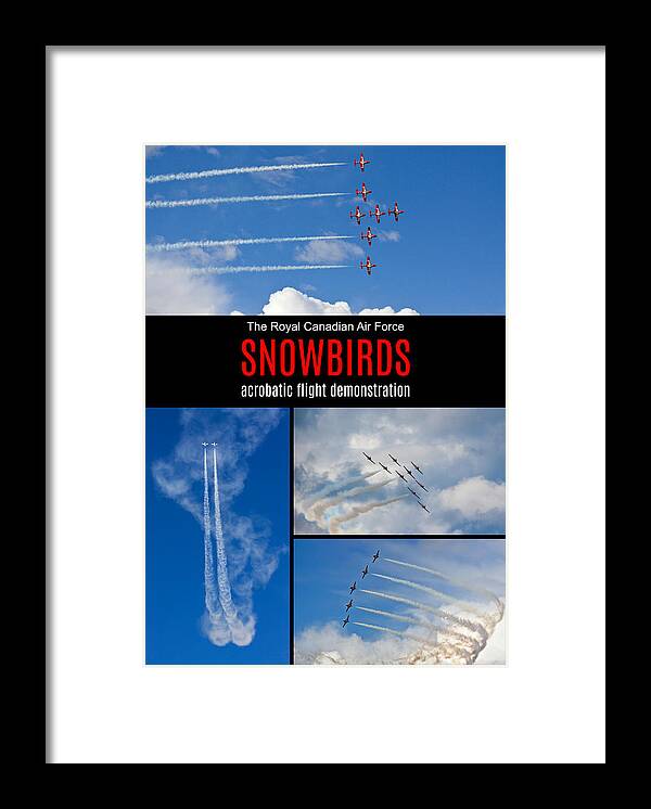Snowbirds Framed Print featuring the photograph Snowbirds Collage 2 by Tatiana Travelways