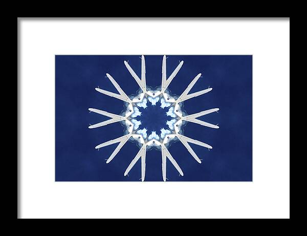 Snowflake Framed Print featuring the photograph Snowflake by Karol Livote