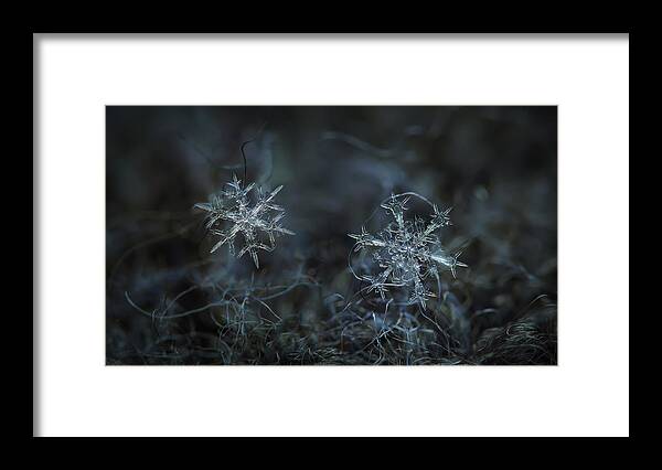 Snowflake Framed Print featuring the photograph Snowflake photo - When winters meets - 2 by Alexey Kljatov