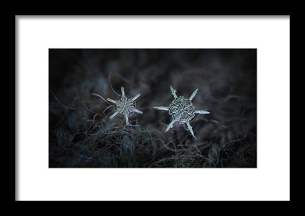 Snowflake Framed Print featuring the photograph Snowflake photo - When winters meets by Alexey Kljatov