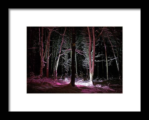 Snow Framed Print featuring the photograph Snowgenta by Jerry LoFaro