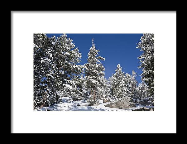 Winter Framed Print featuring the photograph Snowscape 2 by Kelley King