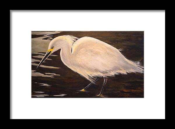 Sea. Sea Bird Framed Print featuring the painting Snowy Egret by Alan Lakin