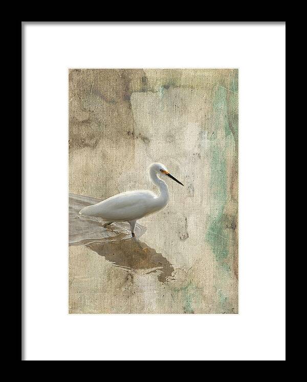 Bird Framed Print featuring the mixed media Snowy Egret in Grunge by Rosalie Scanlon
