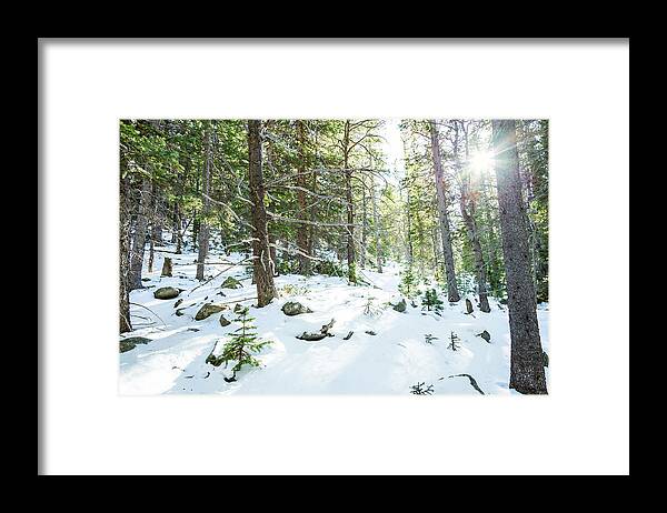 Backcountry Framed Print featuring the photograph Snowy Forest Wilderness Playground by James BO Insogna