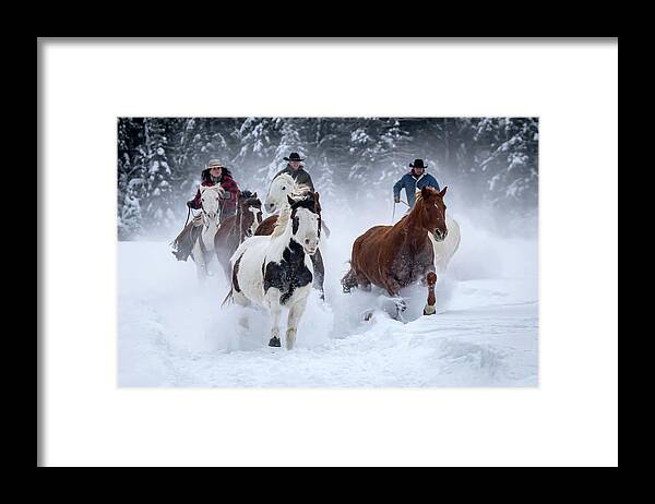 Horses Framed Print featuring the photograph Snowy Gallop by Jack Bell